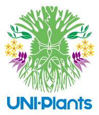 UNI-Plants ビカクシダ、ホヤ植物、着生蘭、タンクブロメリア等の専門ショプ