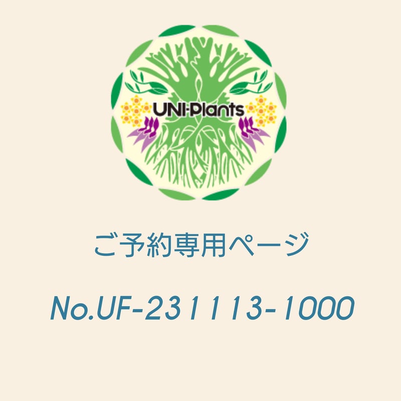 Hana様専用 はな様 専用 hana 様専用 hana＊様 専用 ハナ様