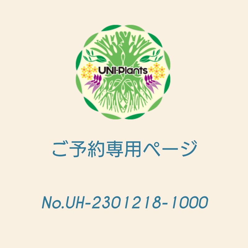 ご予約者様 専用ページ ご予約No.UH-2301218-1000 Hoya kaliman