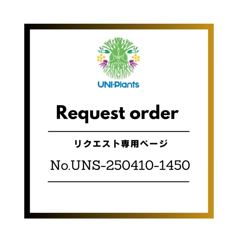 リクエスト専用ページ リクエスト約No.UNS-250410-1450 P.hillii ex