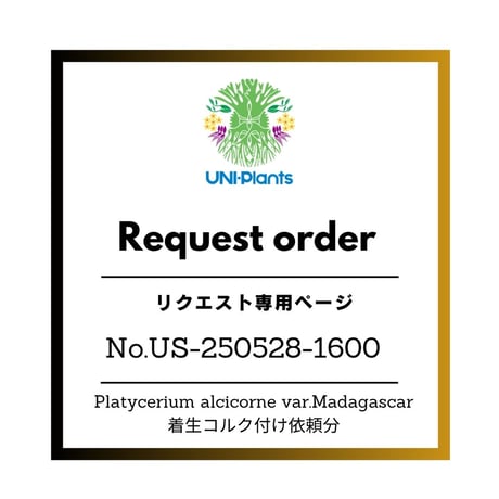 platyceriumalcicorne | STORES