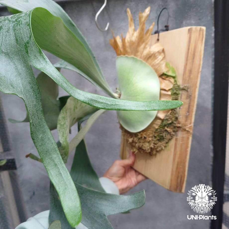 6618cd019c8b6203364bc843