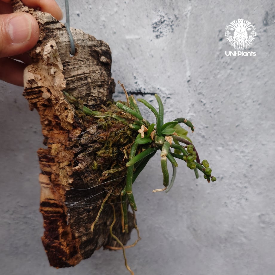 683fe200e37c5b2fbd7b2d8c
