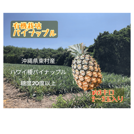 ゴールドバレル５本 Amazon.co.jp: 沖縄県産【訳あり】ゴールドバレル (国産最高級