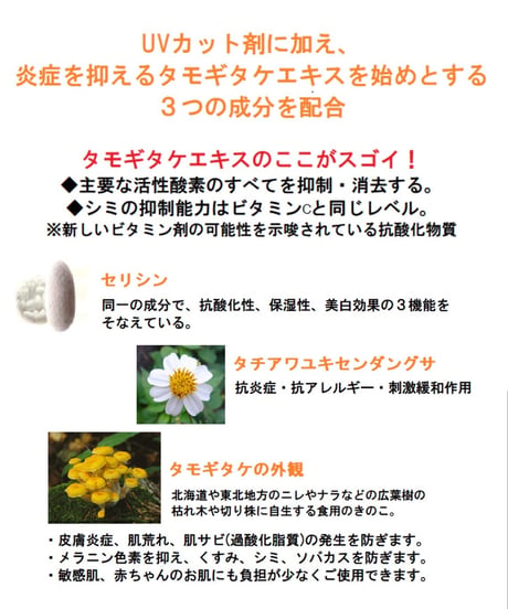 デイケア サンプロテクト