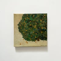 油彩）ネオペインティングオイルと乾燥したレモン | Yui-Fujita-onlineshop