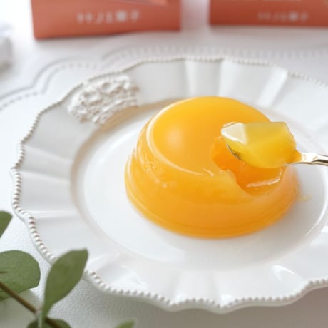 トトノエお重箱⑦ゼリーセット(紙袋付)