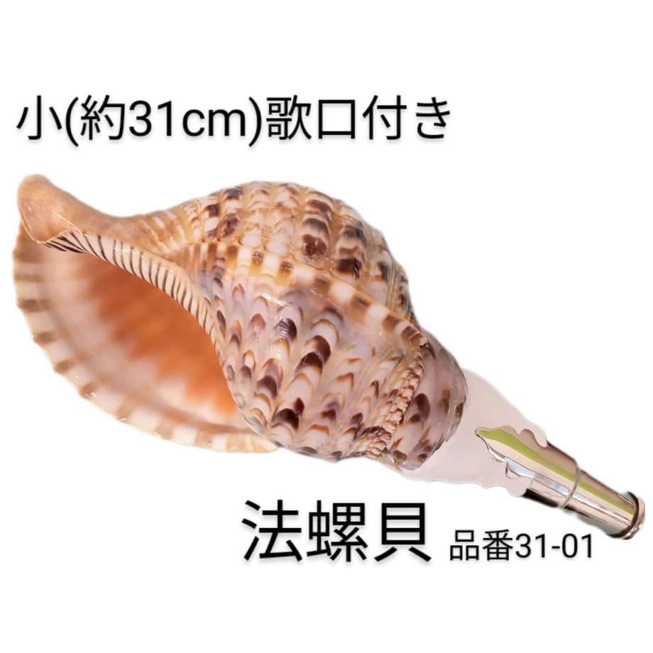 653645c8cd92fe024fdafdcf