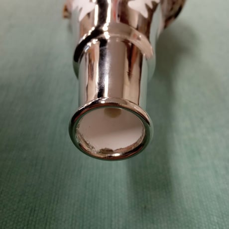法螺貝　小　約31cm　歌口付き　品番31-01