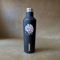 CORKCICLE CANTEEN SAKURA ボトル