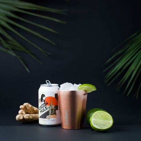 CORKCICLE TUMBLER Steel