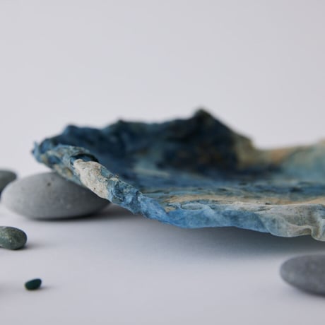 Seeking sign of soil SARA　Msize
