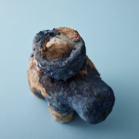 Seeking sign of soil CARRYING ANIMAL