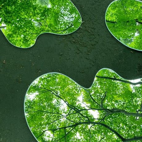 Puddle mirror  L 1