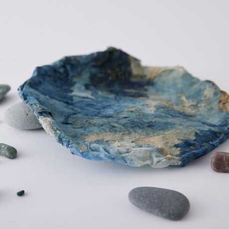 Seeking sign of soil SARA　Msize