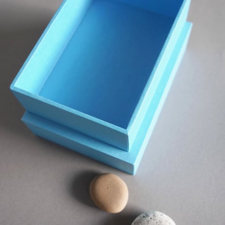 Unit Box  aquarium ／ 蓋、仕切りなし、仕切りあり