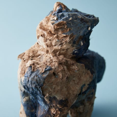 Seeking sign of soil CARRYING ANIMAL