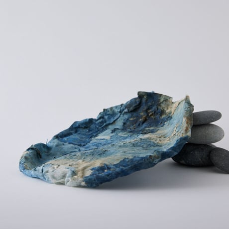 Seeking sign of soil SARA　Msize