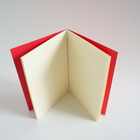 thin thin notebook