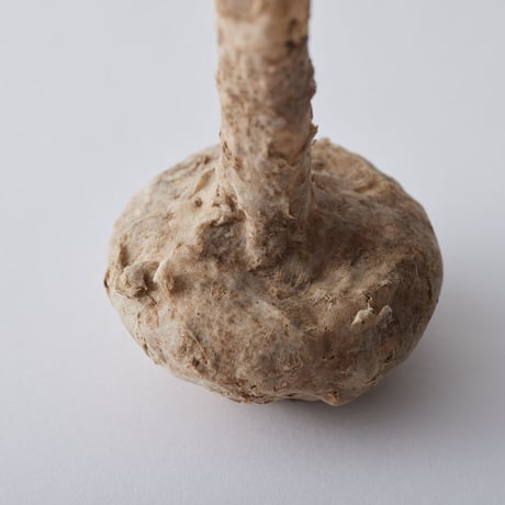 Seeking sign of soil TSUBO　Msize 02