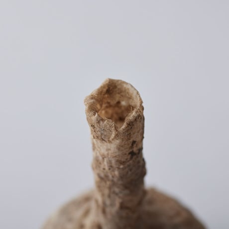 Seeking sign of soil TSUBO　Msize 02