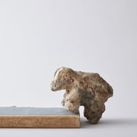 Seeking sign of soil GROUNDING ANIMAL