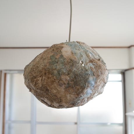 Lacus #3 pendant light