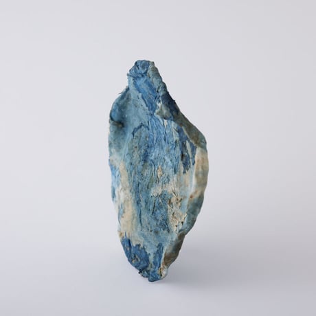 Seeking sign of soil SARA　Msize