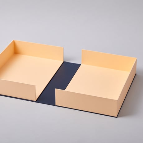 Solander Box   L