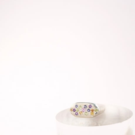 Pastel Ring  oval