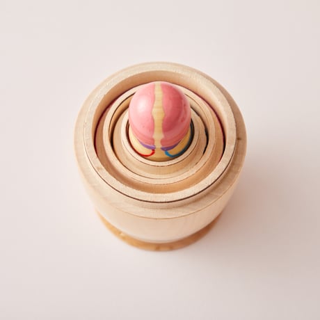 NEST HUMAN ANATOMY