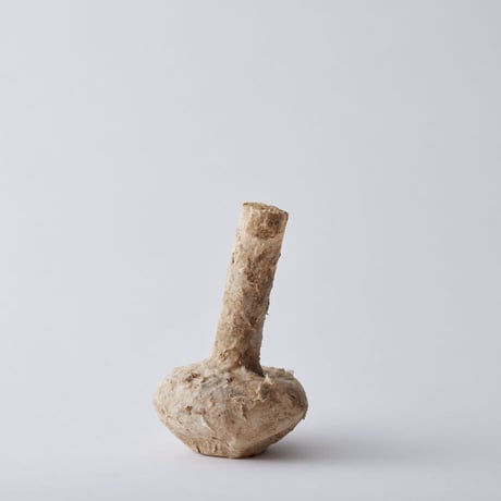 Seeking sign of soil TSUBO　Msize 02