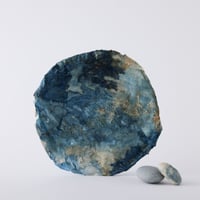 Seeking sign of soil SARA　Msize