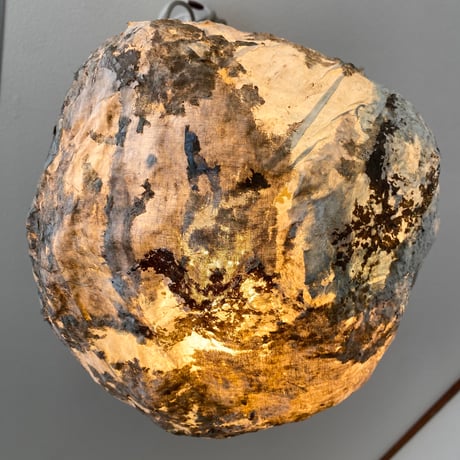 Lacus #3 pendant light