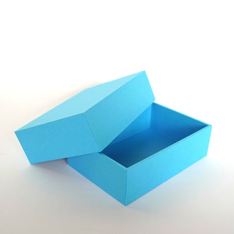 Unit Box  aquarium ／ 蓋、仕切りなし、仕切りあり