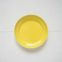 プレート　M　Yellow (~ 7/5)