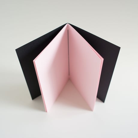 thin thin notebook