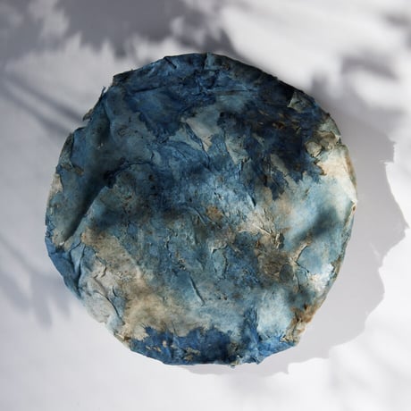 Seeking sign of soil SARA　Msize