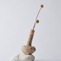 Seeking sign of soil TSUBO　Msize 02