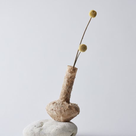 Seeking sign of soil TSUBO　Msize 02