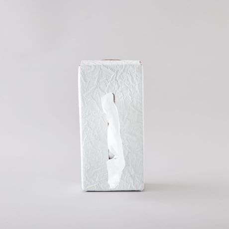 PAPER LEATHER TISSUE BOX CASE（White）