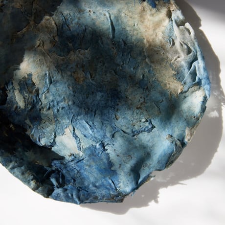 Seeking sign of soil SARA　Msize