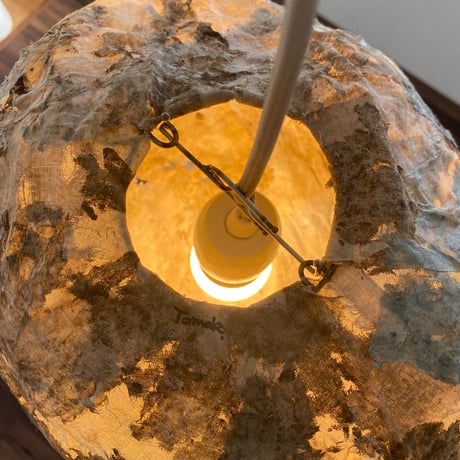 Lacus #3 pendant light