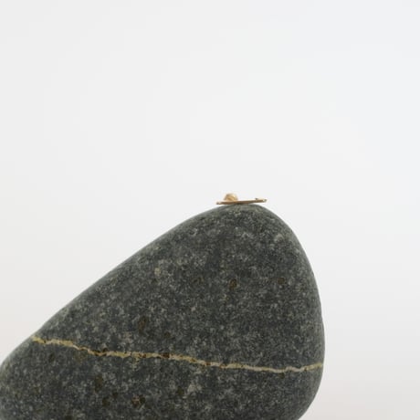 Triangle Pierce  S/M