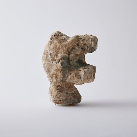 Seeking sign of soil GROUNDING ANIMAL