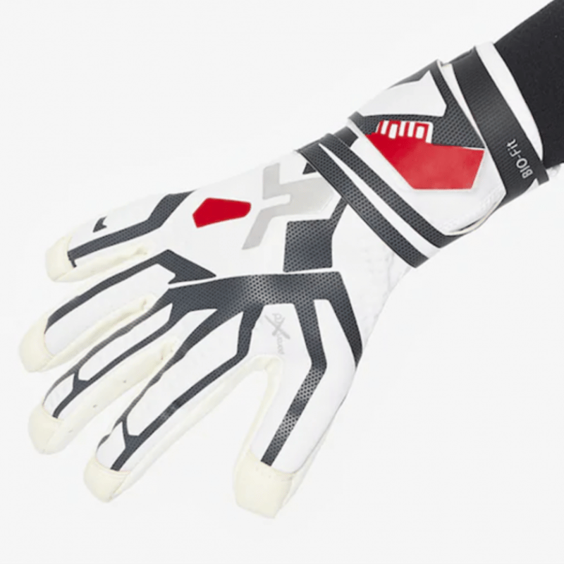 新品　特価　TUTO キーパーグローブ　MAXIMUS AQUA 8号 新品 特価 TUTO キーパーグローブ MAXIMUS AQUA 8号 楽天市場