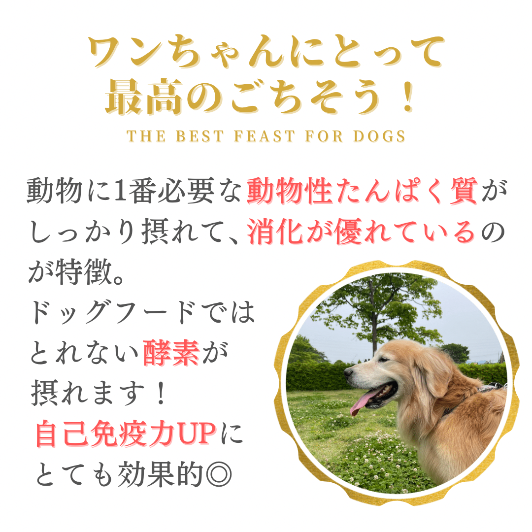 蝦夷鹿　鹿茸　208g 蝦夷鹿 鹿茸 208g 缶詰 蝦夷鹿肉 | みちのくファーム