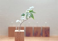 北海道産ナラ一枚板センターテーブル □ショップ展示品現品セール品