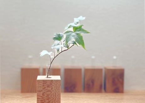 CATEGORY others | 森林工芸館STORES