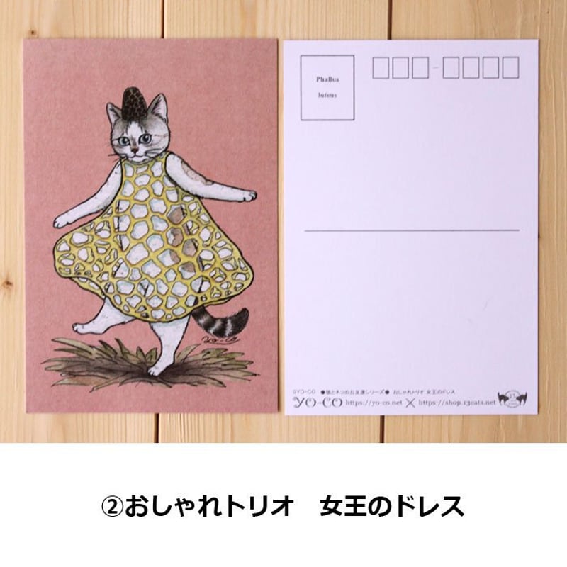 ○猫とネコのお友達6○おしゃれトリオ ポストカード | 13.CATS.WORKS